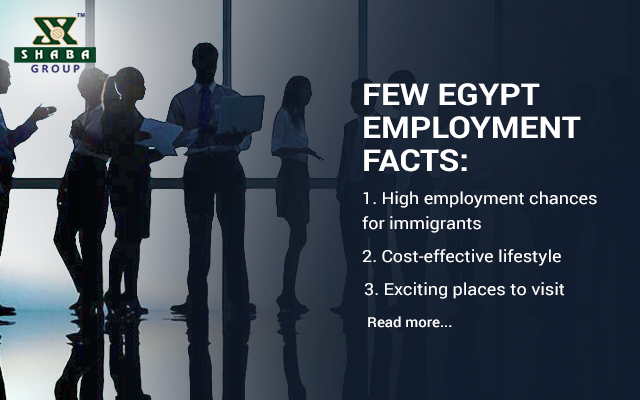 Egypt Employment Facts: Why should you work in Egypt?  Shaba Group